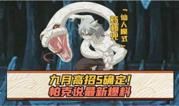 九月高招s忍最新爆料,揭秘忍界新势力崛起之谜