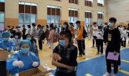 昆明小学爆料最新消息视频,视频揭露惊人真相